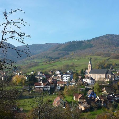 Gite Schlitteur Et Sapiniere Breitenbach Ngoại thất bức ảnh