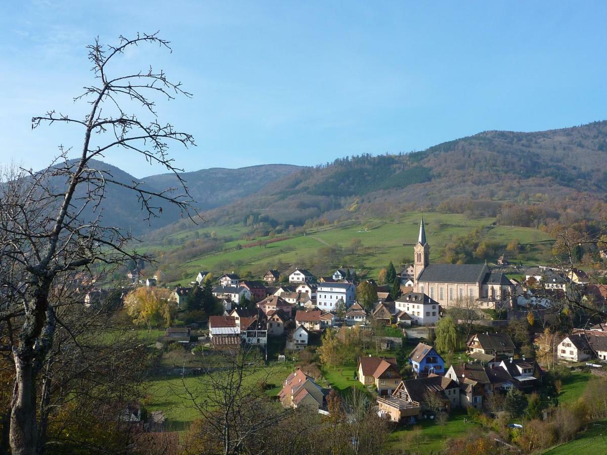 Gite Schlitteur Et Sapiniere Breitenbach Ngoại thất bức ảnh